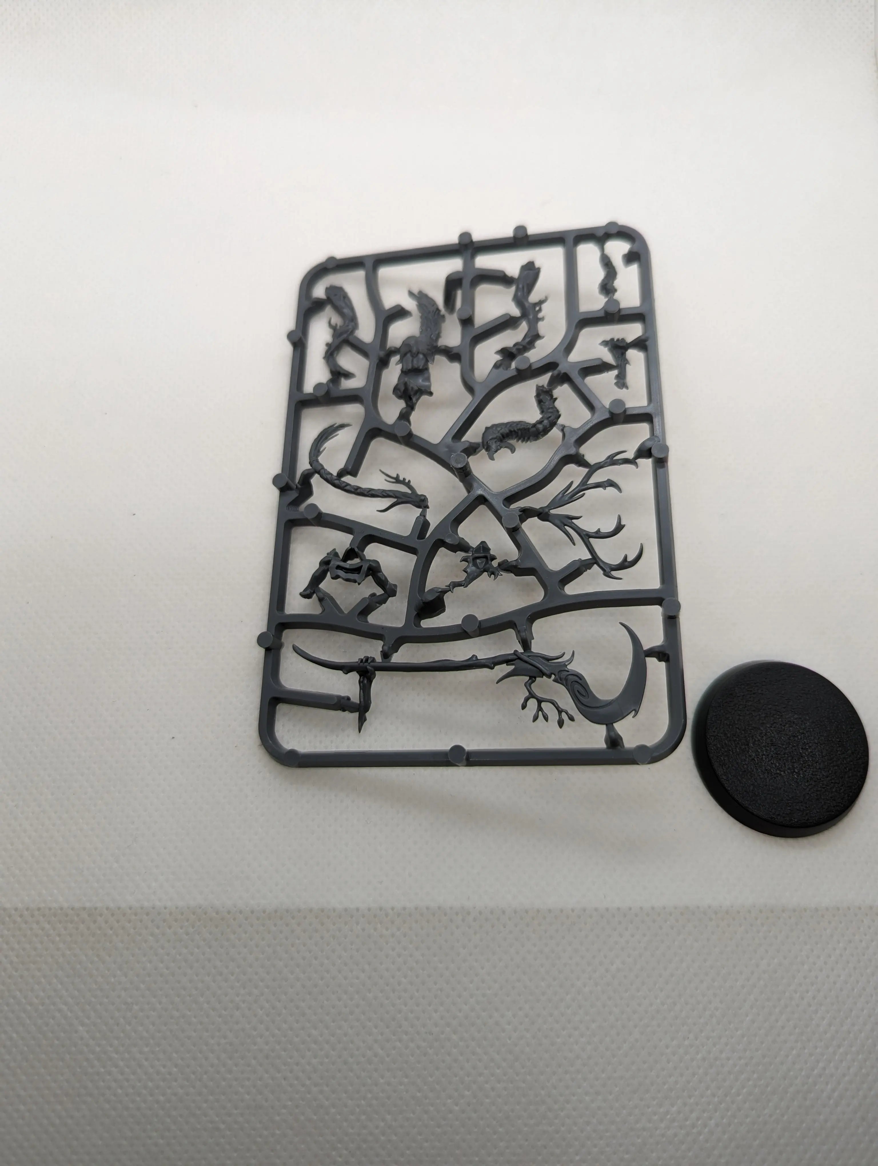 P/O: Branchwych #2