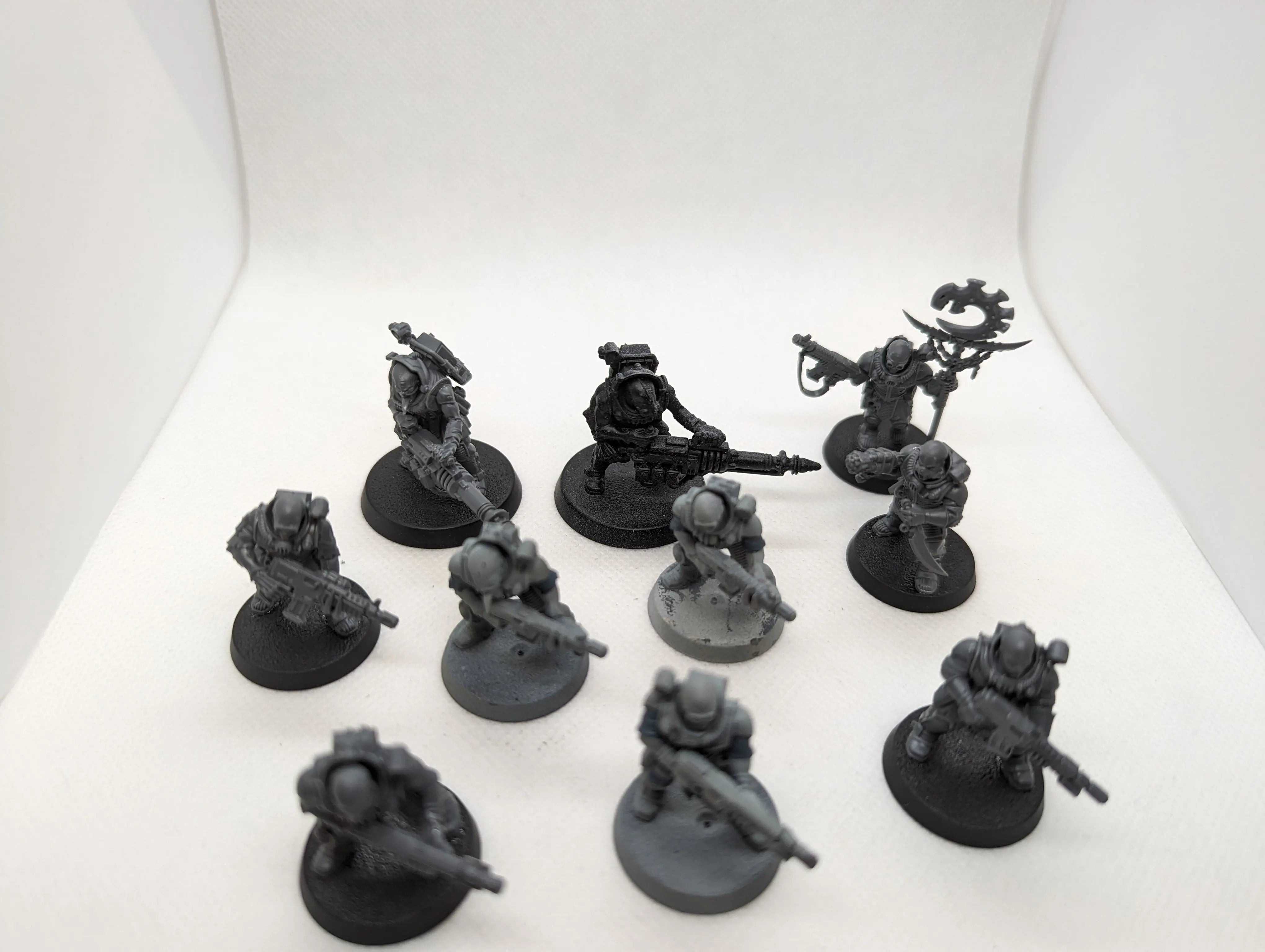 P/O: Neophyte Hybrids