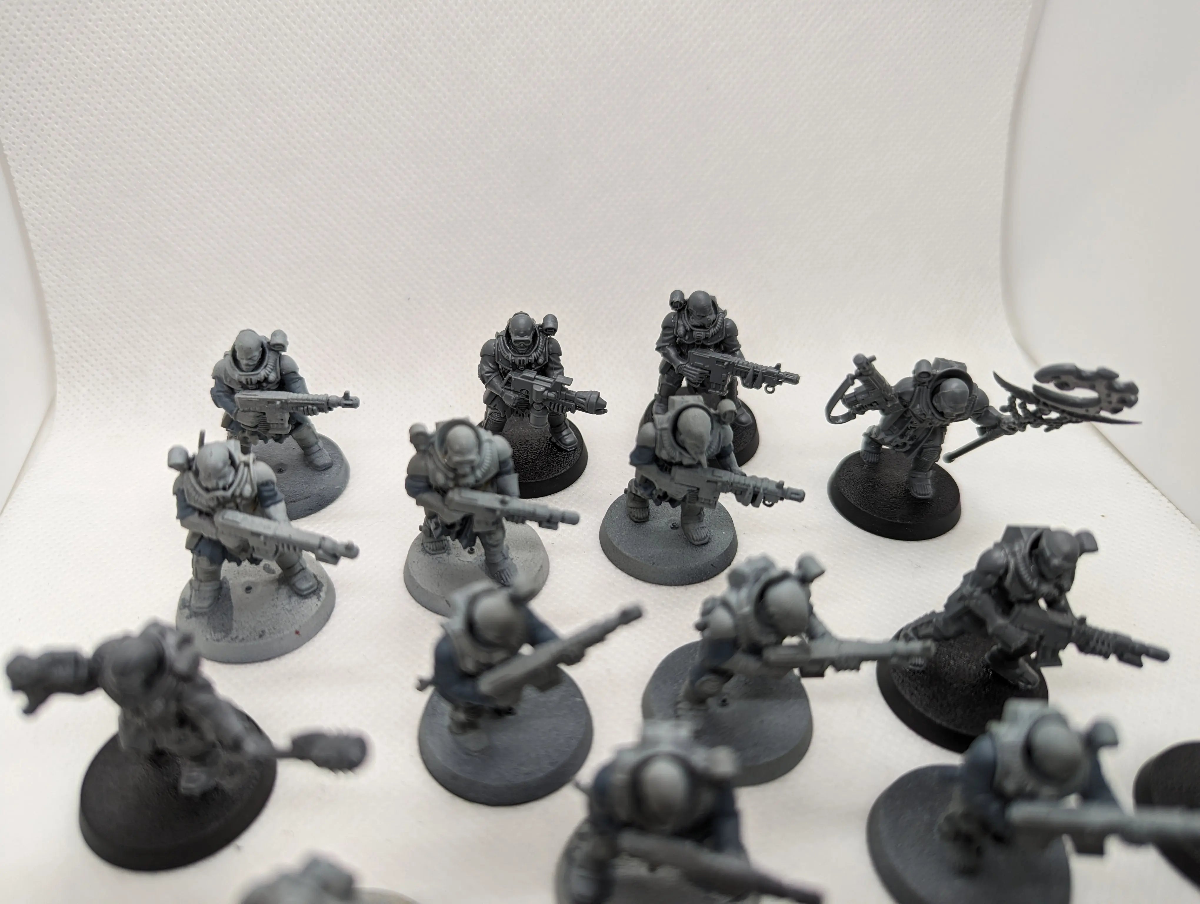 P/O: Neophyte Hybrids x20