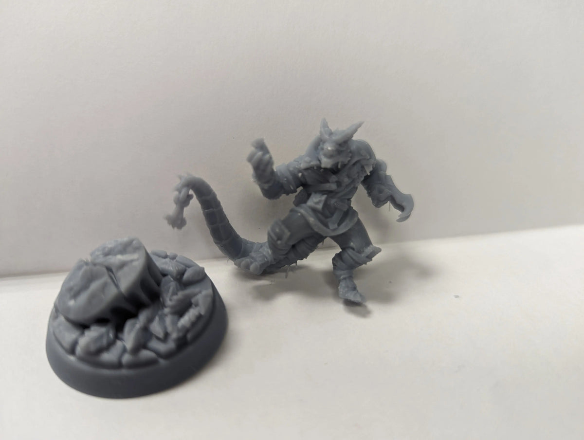 3d Prints: Dragonborn Rogue – Wandering Adventures