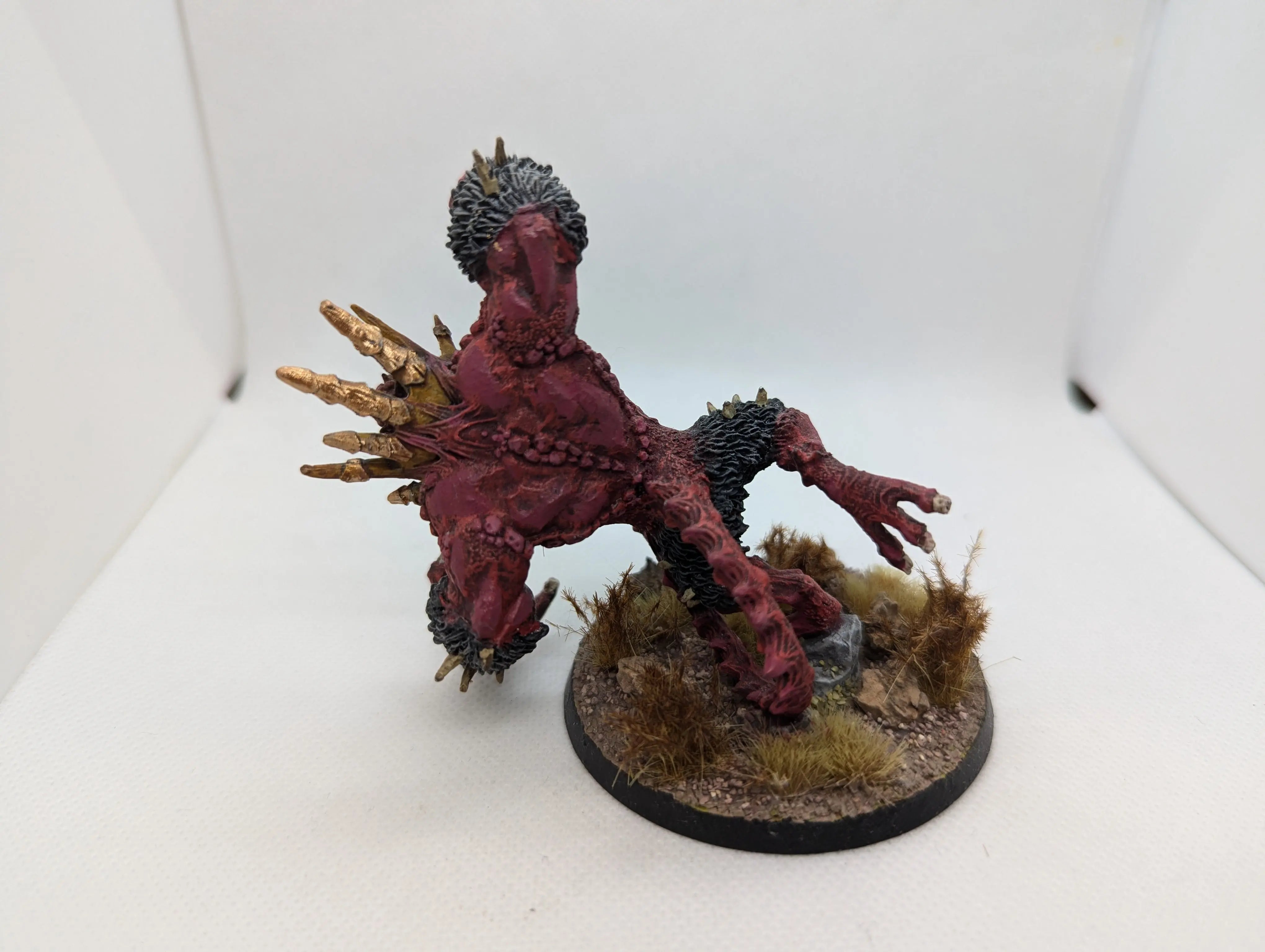 P/O: Scylla Anfingrimm