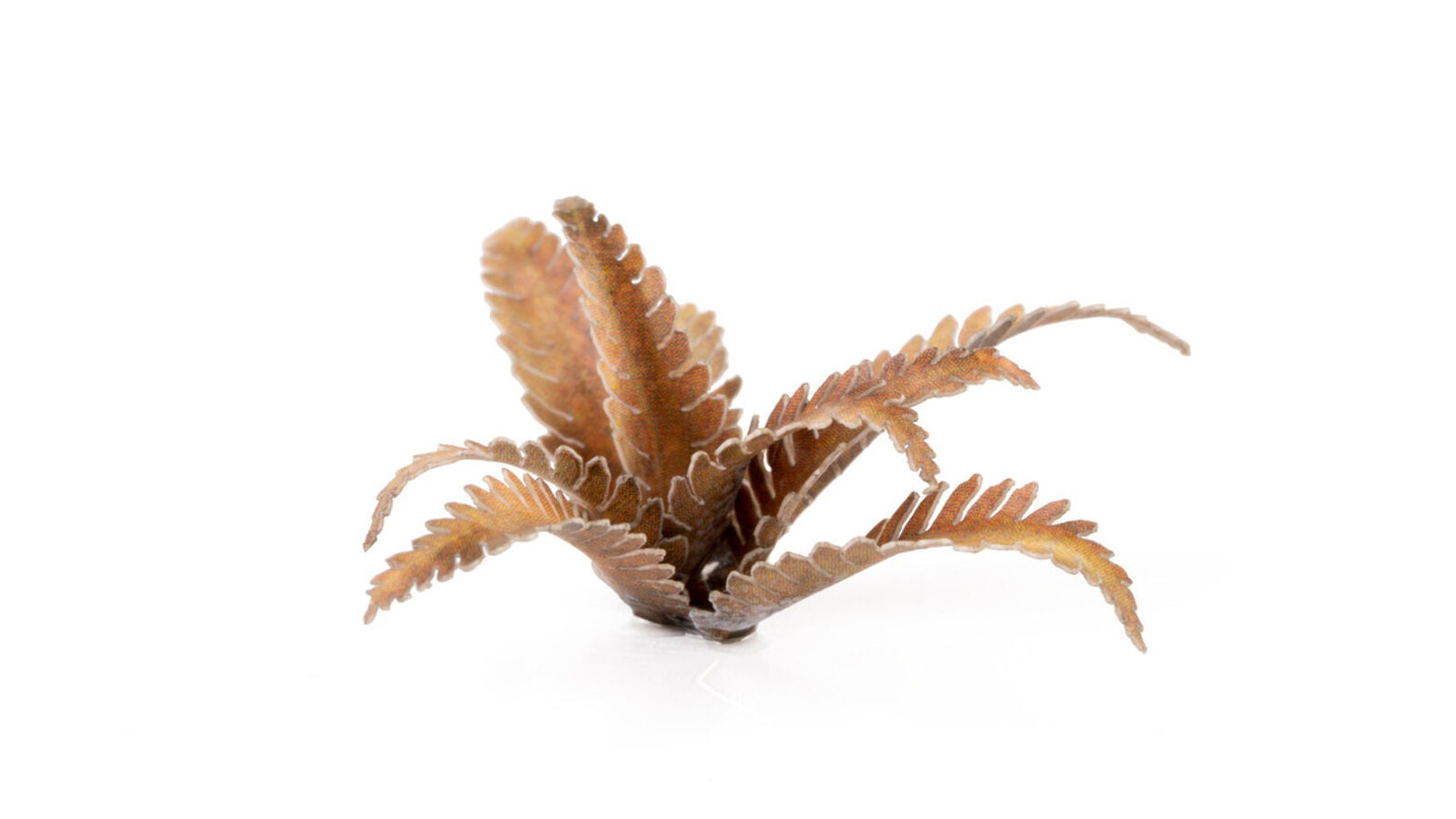 Gamers Grass - Static Tuft Laser Plants - Deer Fern