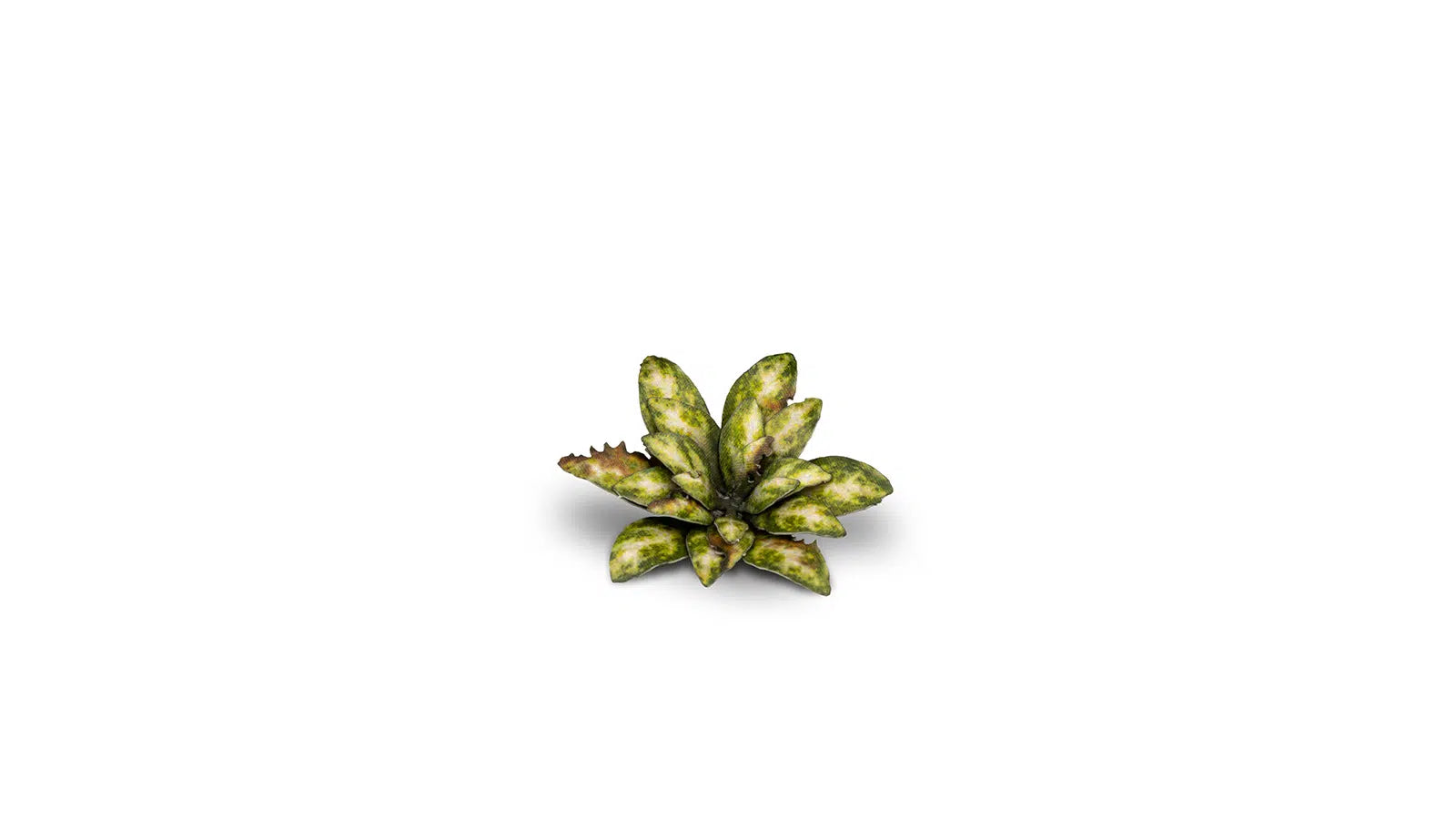 Gamers Grass - Static Tuft Laser Plants - Dumb Cane