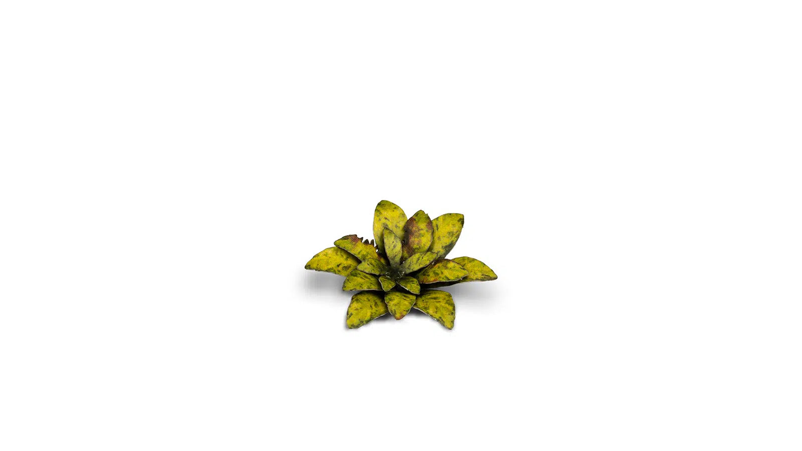 Gamers Grass - Static Tuft Laser Plants - Dumb Cane