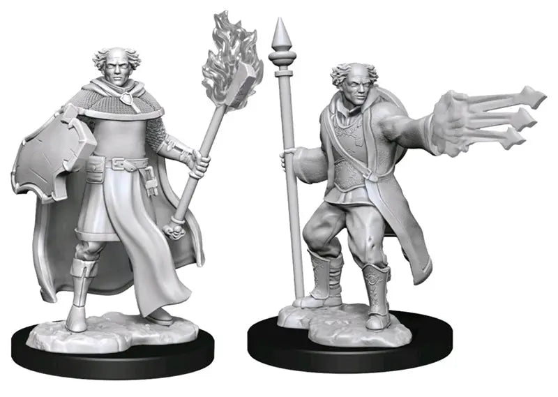 D&D Marvelous Unpainted- Multiclass Cleric + Wizard Male
