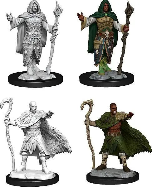 D&D Marvelous Unpainted Wave 14- Human Druid