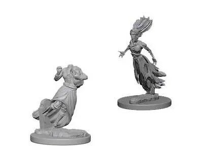 D&D Marvelous Unpainted- Ghost & Banshee