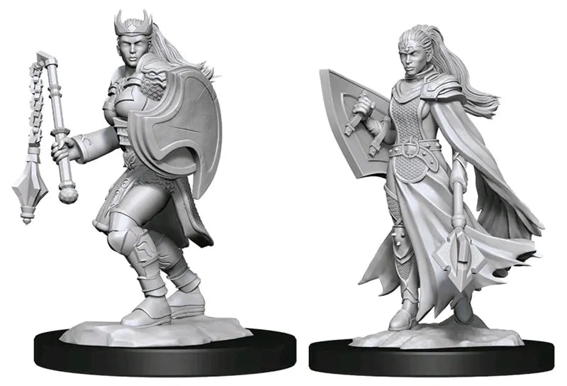 D&D Marvelous Unpainted- Kalashtar Cleric