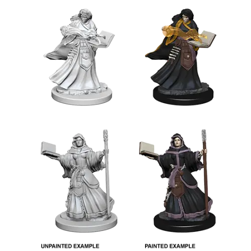 D&D Marvelous Unpainted- Human Wizard
