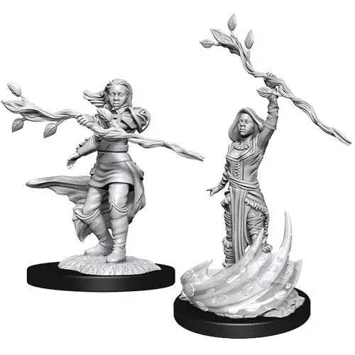 D&D Marvelous Unpainted- Human Druid