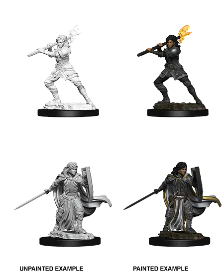 D&D Marvelous Unpainted- Human Paladin