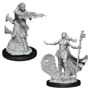 D&D Marvelous Unpainted- Human Wizard