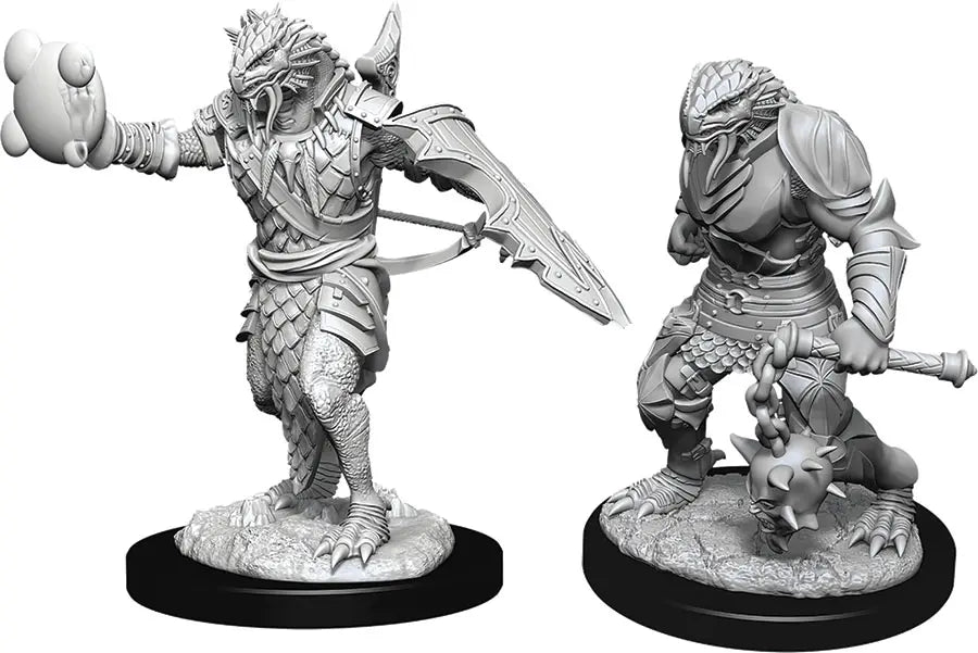 D&D Marvelous Unpainted Wave 11- Male Dragonborn Paladin