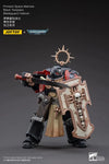 JoyToy: Black Templars Bladeguard Veteran Wandering Adventures