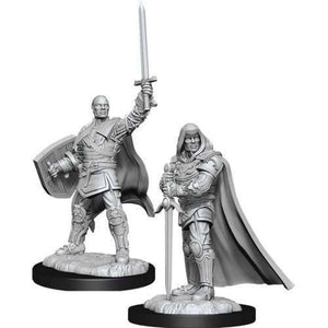 D&D Marvelous Unpainted  Wave 13- Male Human Paladin