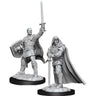 D&D Marvelous Unpainted  Wave 13- Male Human Paladin