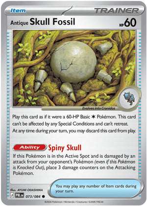 (Preorder) Antique Skull Fossil [ME05 - 073/084]