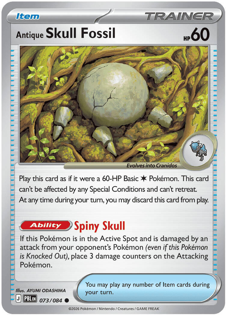 (Preorder) Antique Skull Fossil [ME05 - 073/084]