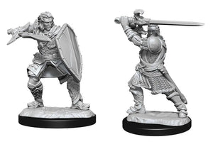 D&D Marvelous Unpainted  Wave 14- Male Human Paladin
