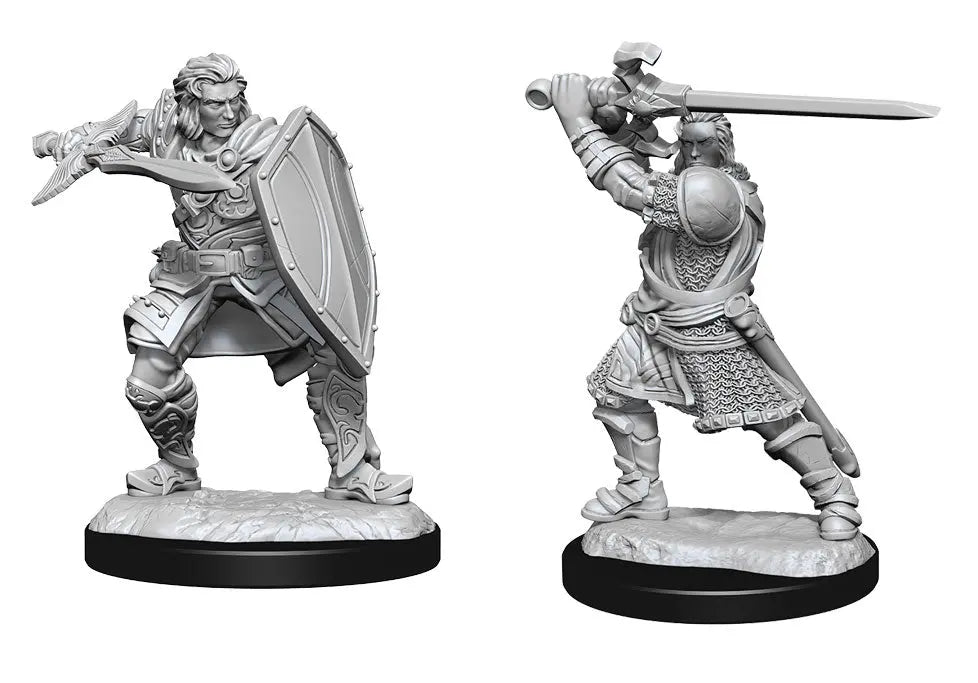 D&D Marvelous Unpainted  Wave 14- Male Human Paladin