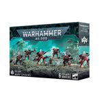 Aeldari: Warp Spiders Wandering Adventures