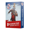 Bretonnian Team Reference Card Pack