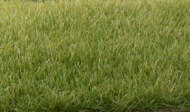 Woodland Scenics Static Grass ~ 4mm Medium Green