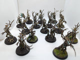 P/O: Dryads Wandering Adventures