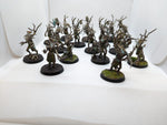 P/O: Dryads Wandering Adventures