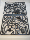 P/O: Lady Of Vines (Full Sprue)