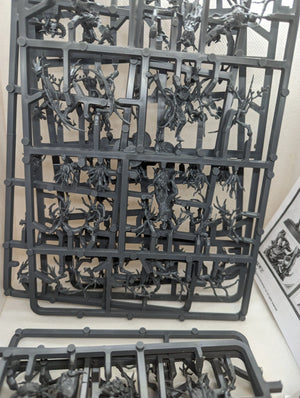 P/O: 16 Dryads (On Sprue)