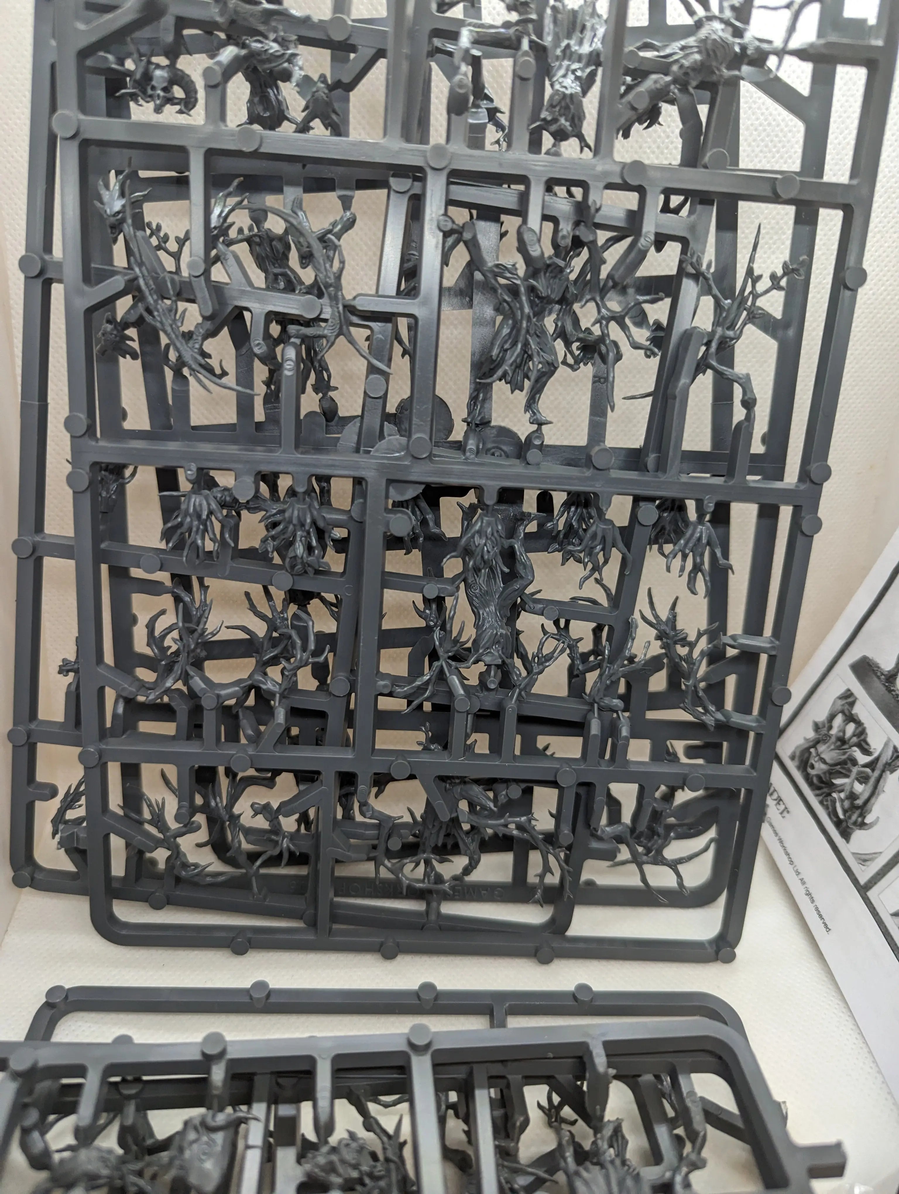 P/O: 16 Dryads (On Sprue)
