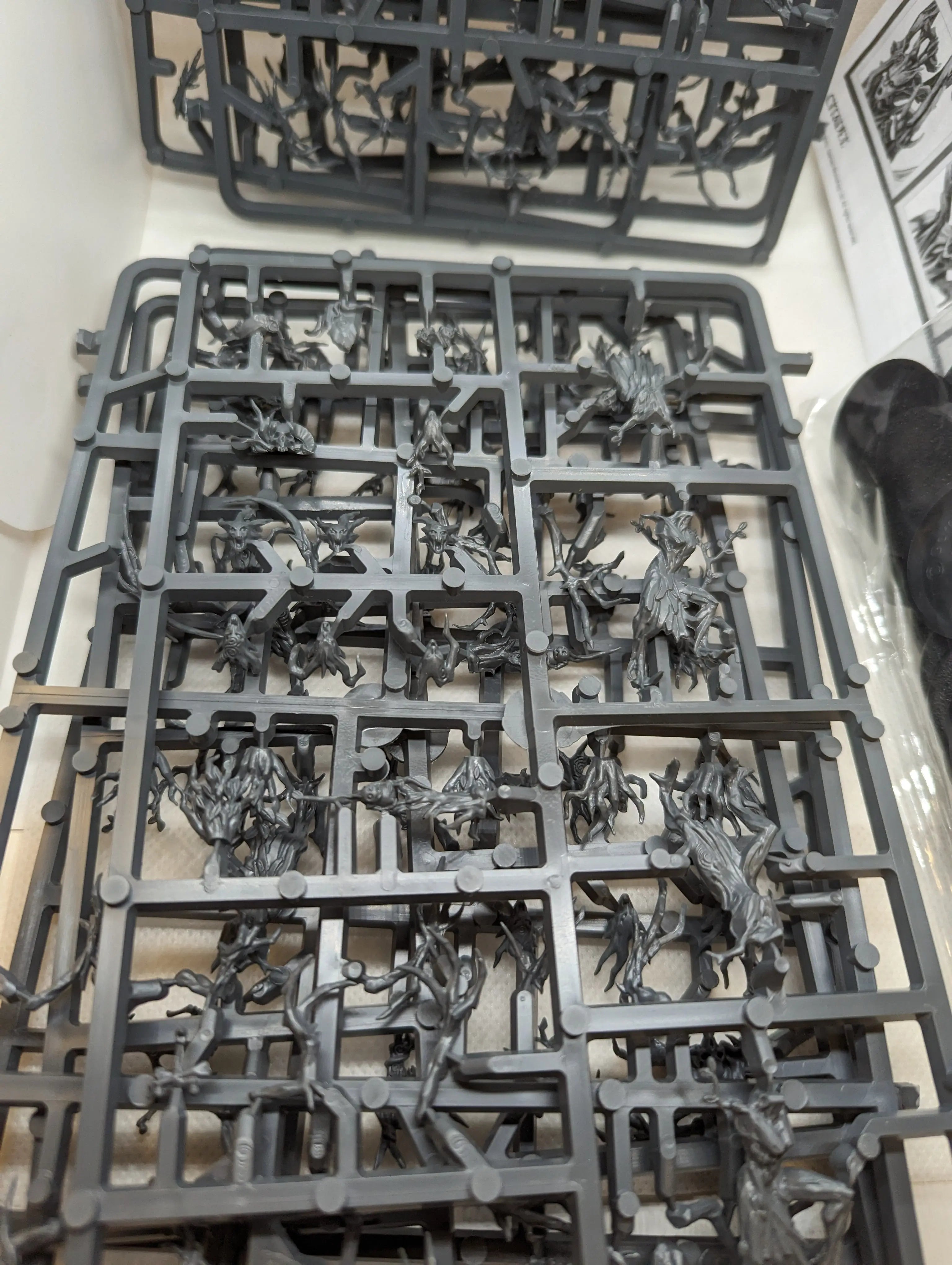 P/O: 16 Dryads (On Sprue)