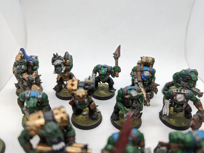 P/O: Ork Boyz (15)