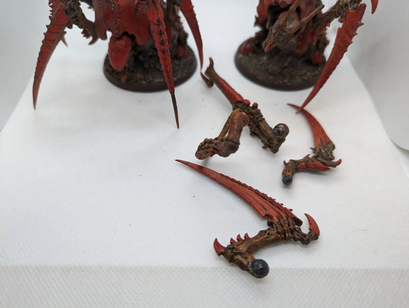 P/O: Carnifex Brood