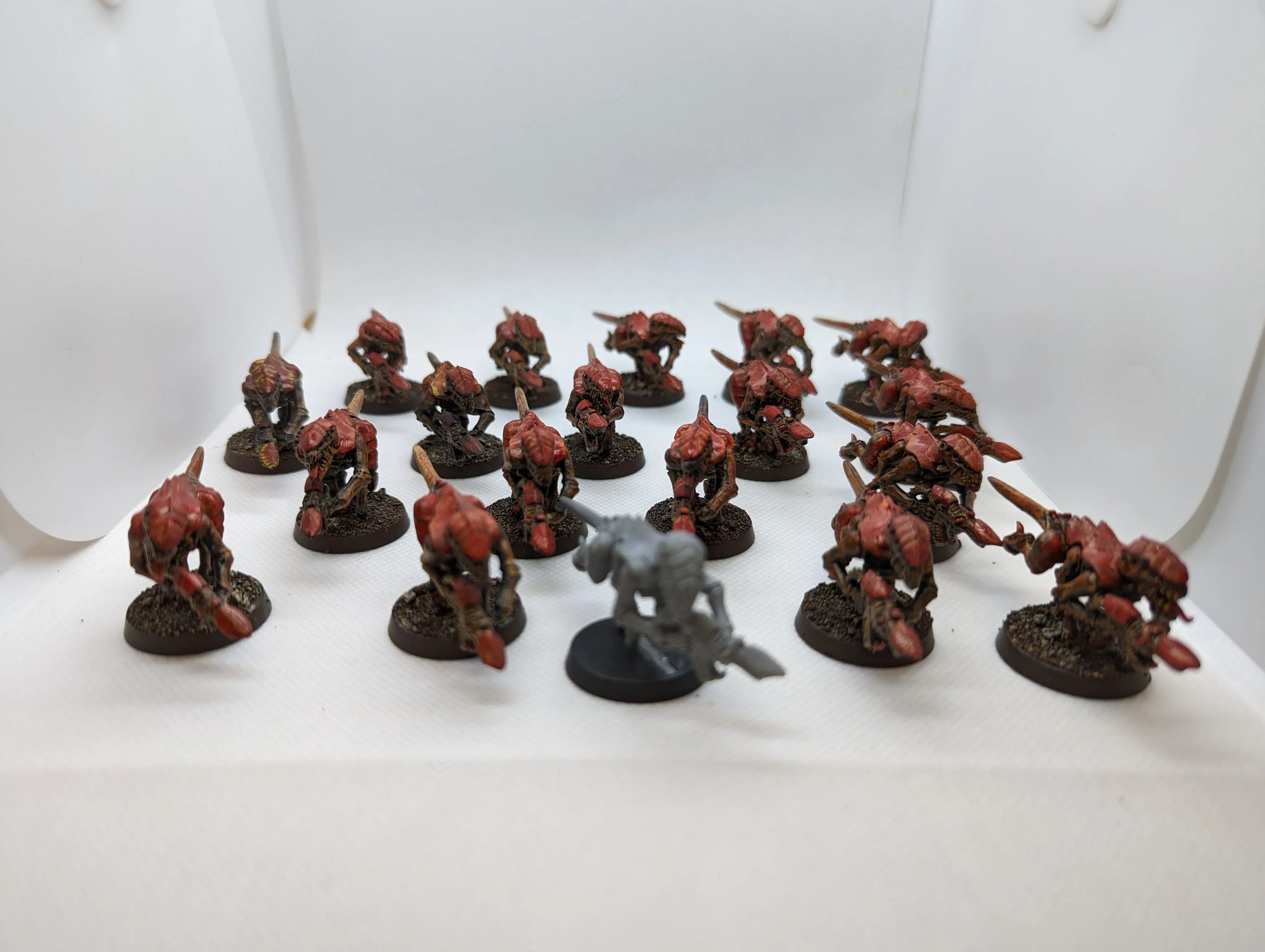 P/O: Termagants (19)