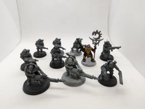 P/O: Neophyte Hybrids