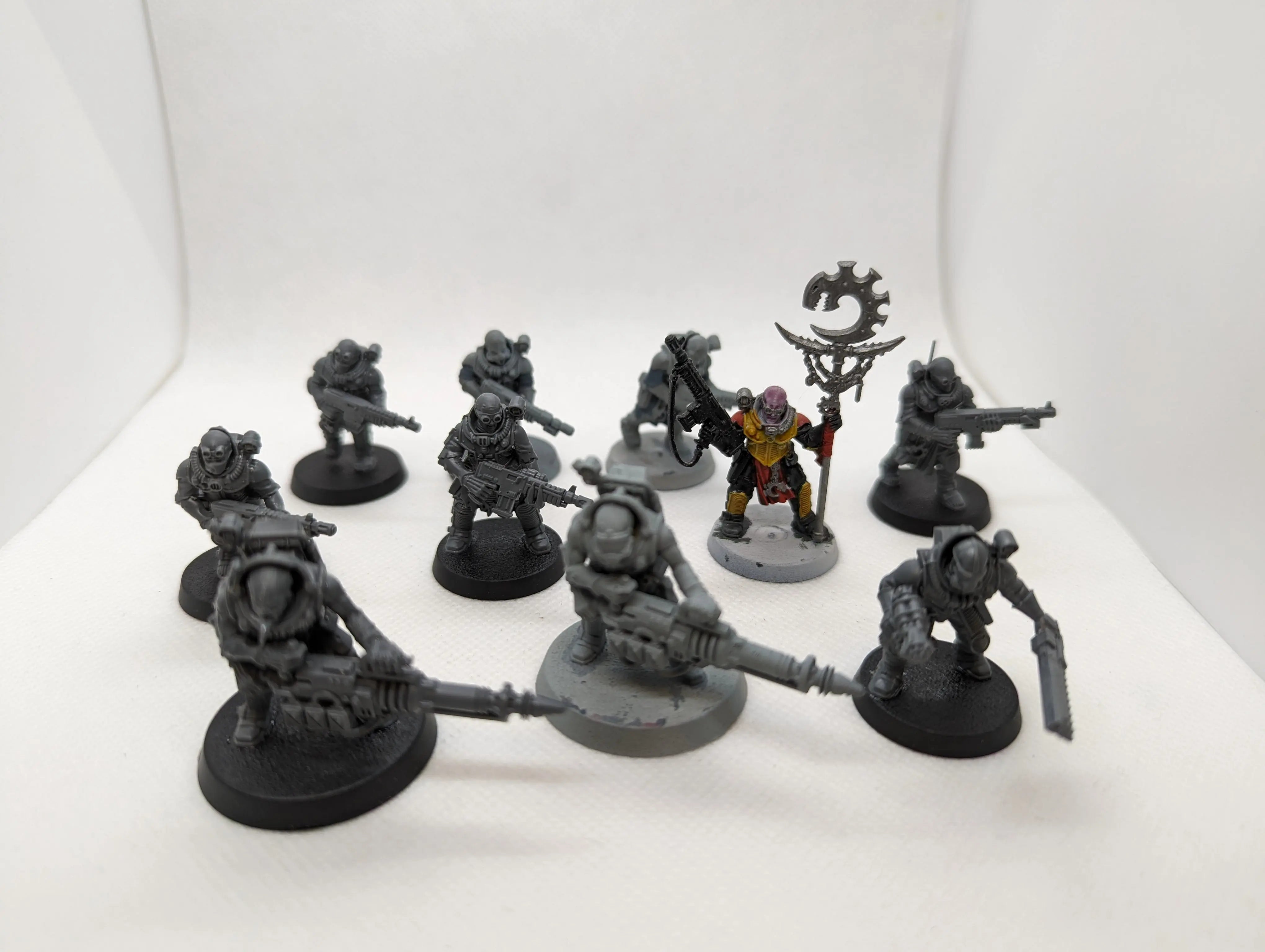 P/O: Neophyte Hybrids