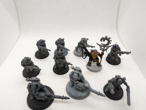 P/O: Neophyte Hybrids