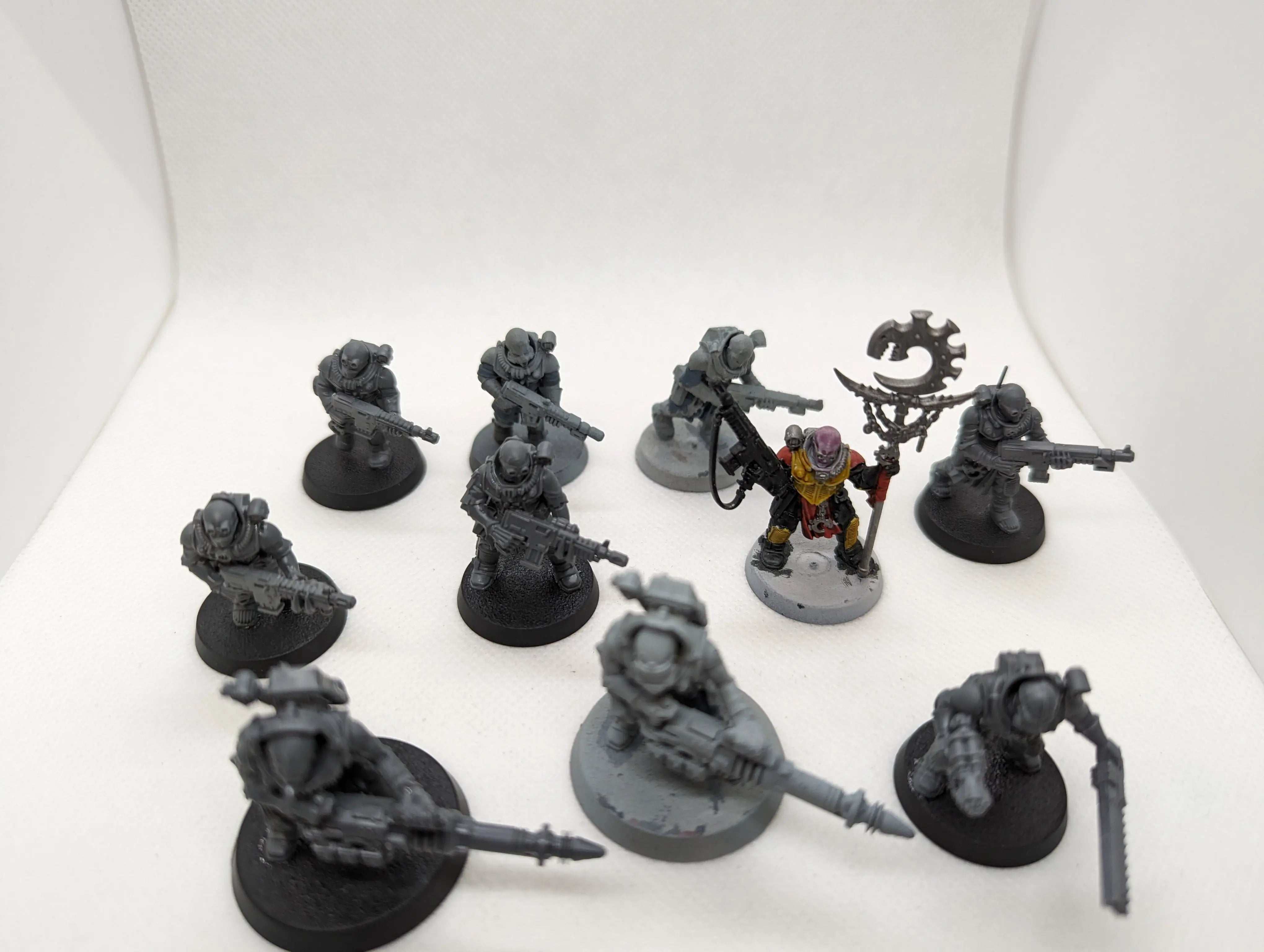 P/O: Neophyte Hybrids