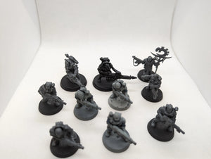 P/O: Neophyte Hybrids