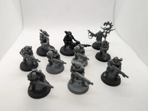 P/O: Neophyte Hybrids