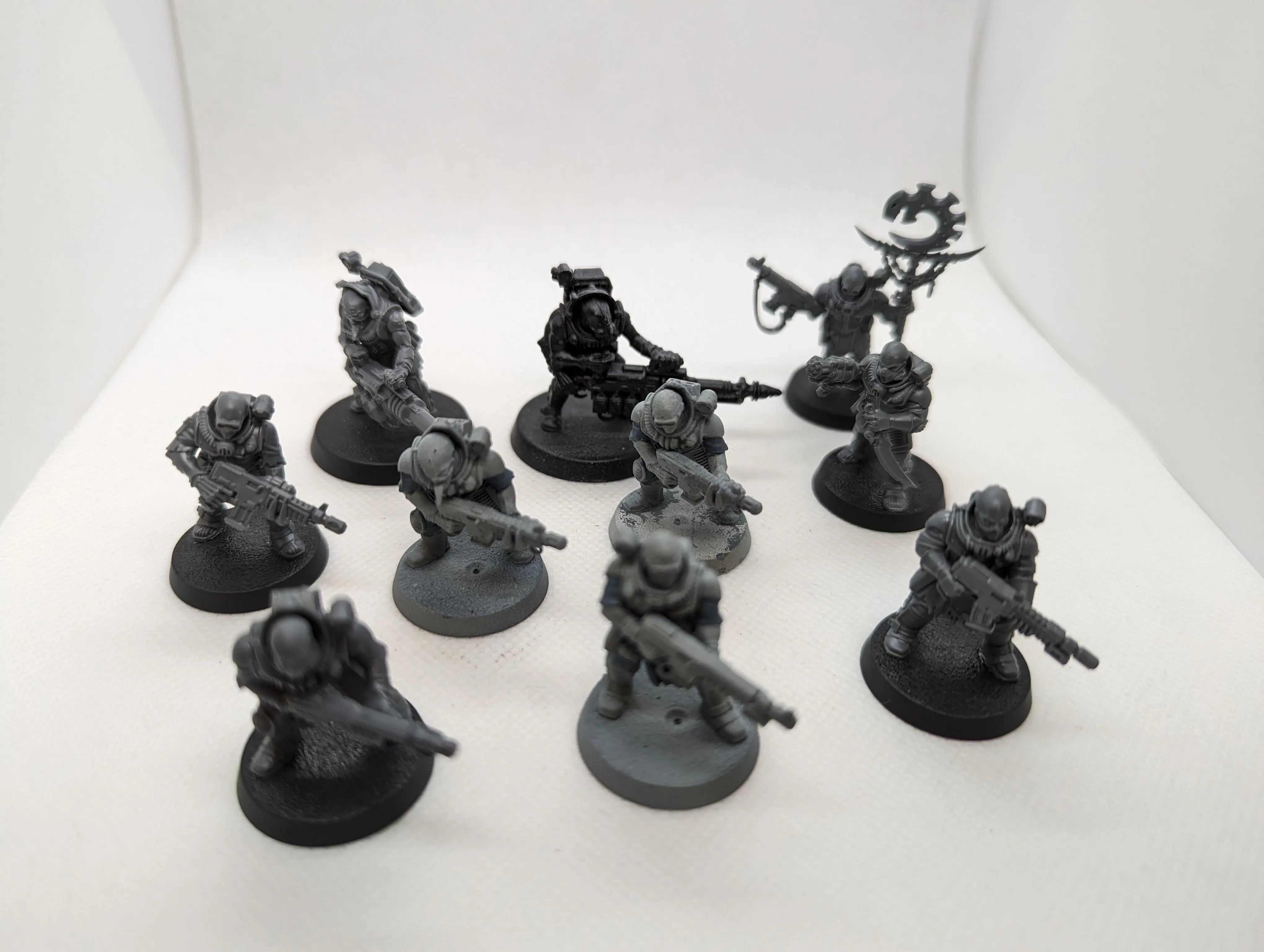 P/O: Neophyte Hybrids