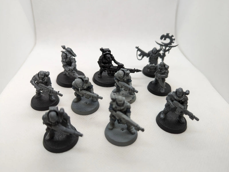 P/O: Neophyte Hybrids