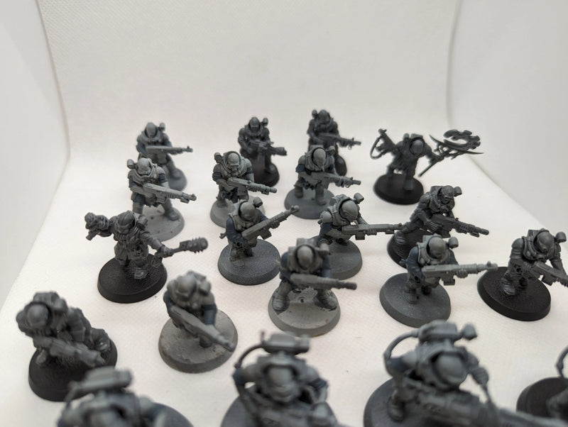 P/O: Neophyte Hybrids x20