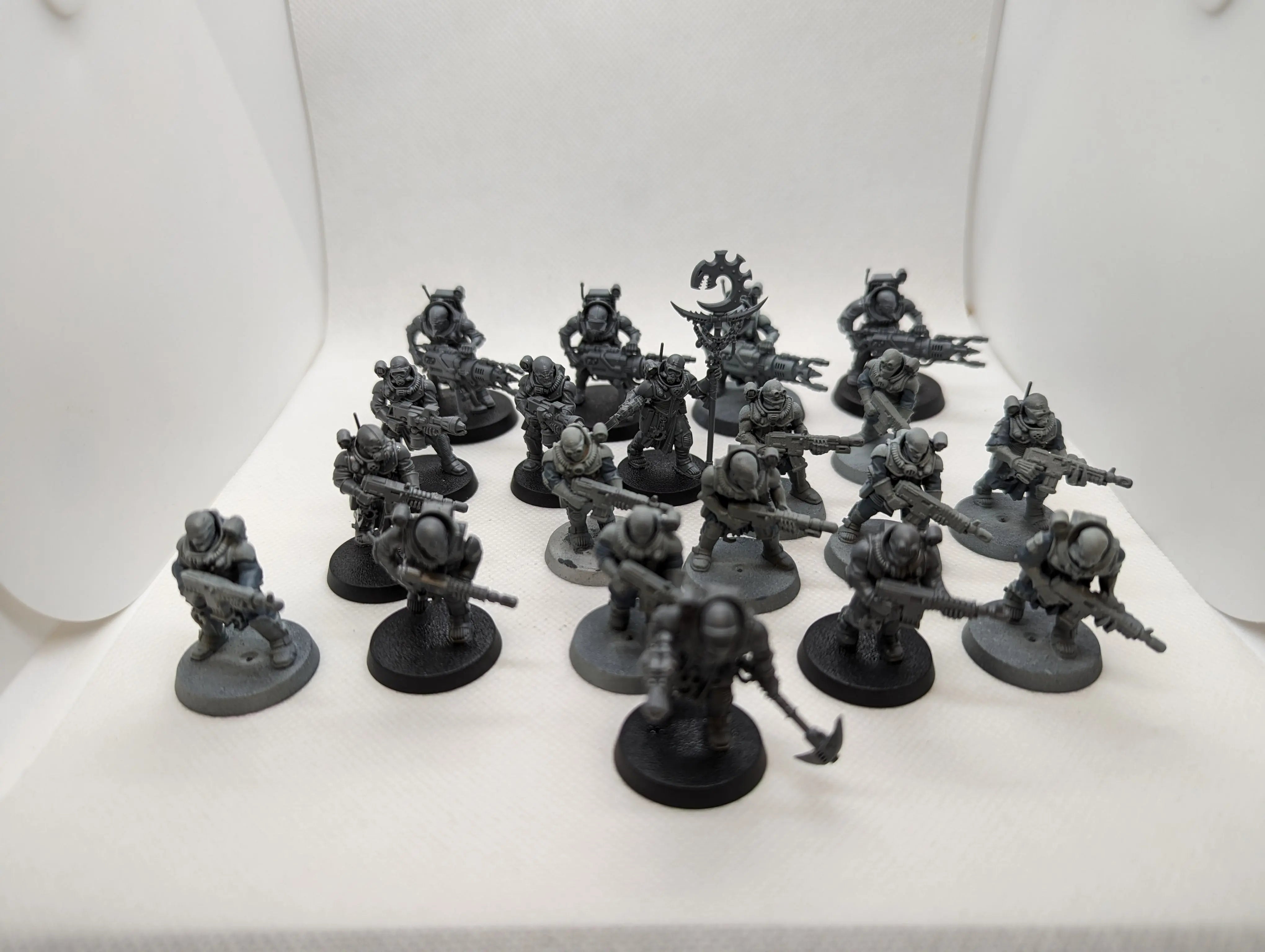 P/O: Neophyte Hybrids x20 (#2)