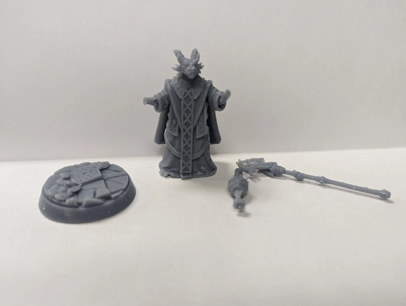 3D Prints: Dragonborn Priest