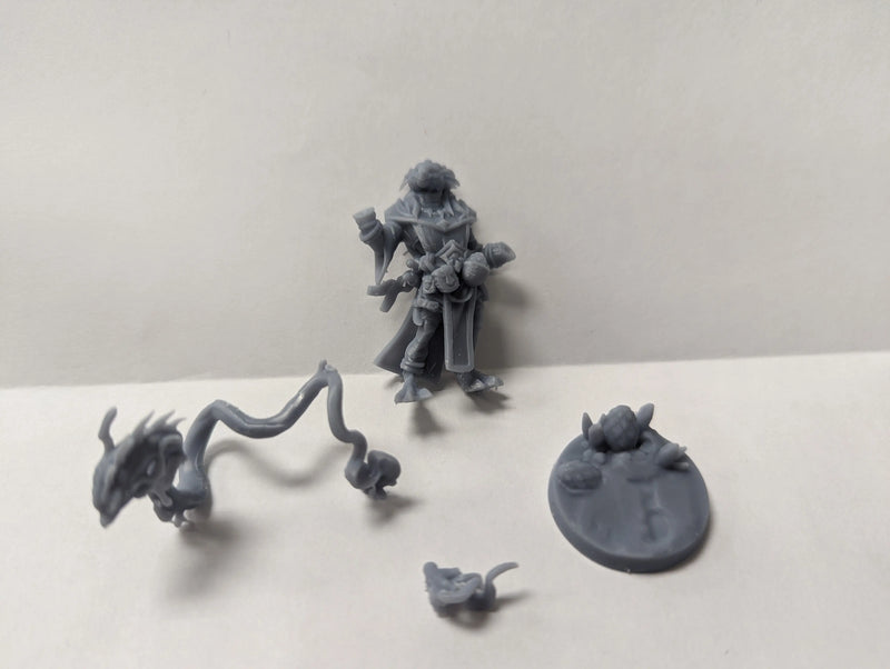 3D Prints: Dragonborn Wizard