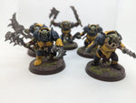 P/O: Orruk Brutes x5 Wandering Adventures