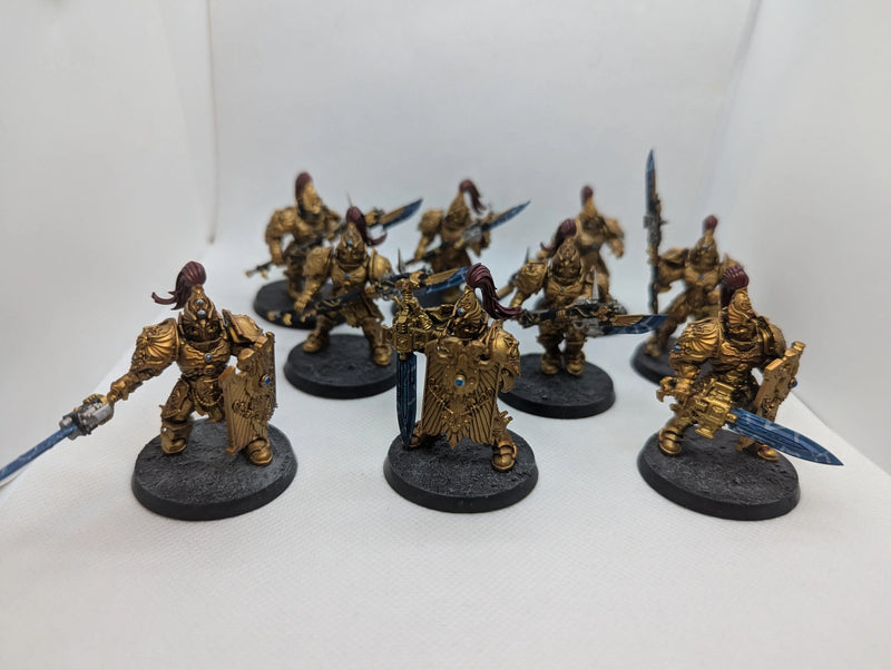 P/O: Allarus Wardens (x9)